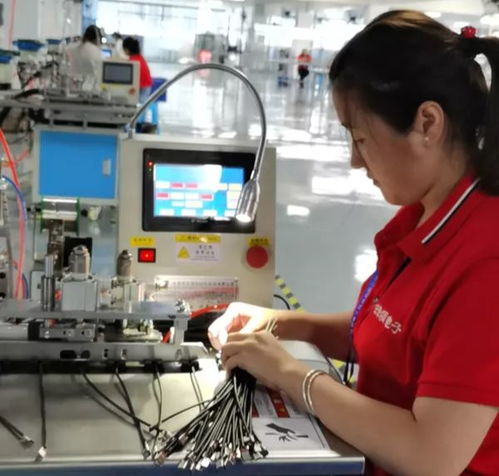 那一抹抹雛菊,芬芳了遂寧經(jīng)開區(qū)